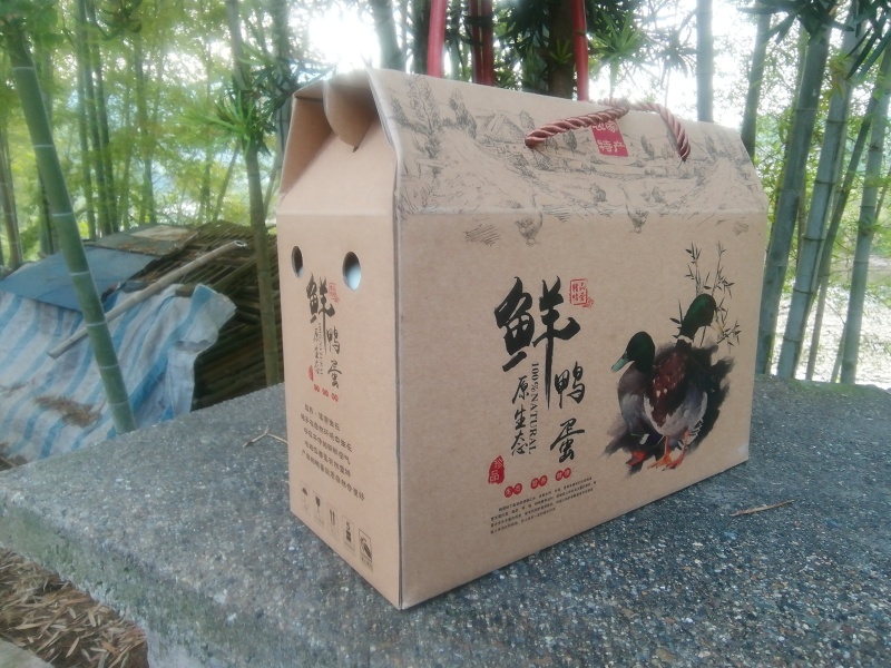 清水生态放养麻鸭鸭蛋