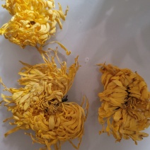 河南开封金丝皇菊茶，七朝古都开封手工汴绣
