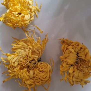 河南开封金丝皇菊茶，七朝古都开封手工汴绣