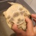 我要卖生态甲鱼