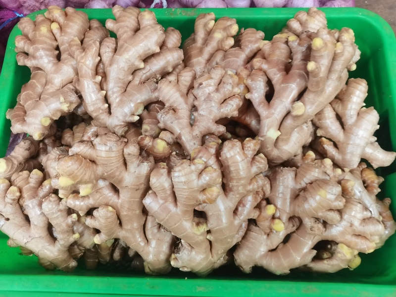 云南小黄姜·二黄姜