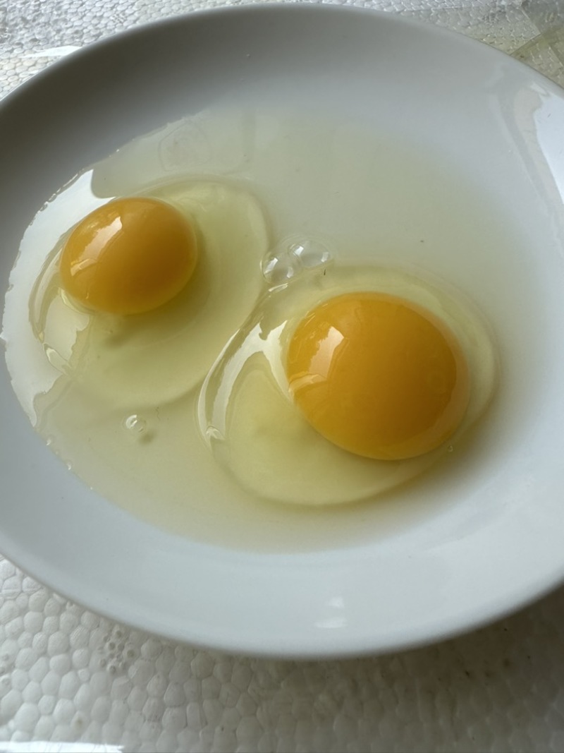 三黄鸡初生蛋