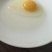 三黄鸡初生蛋