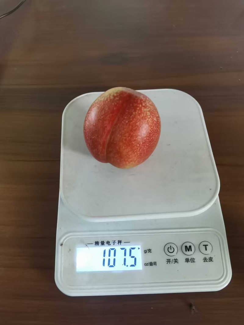 湖北省枣阳市精品桃