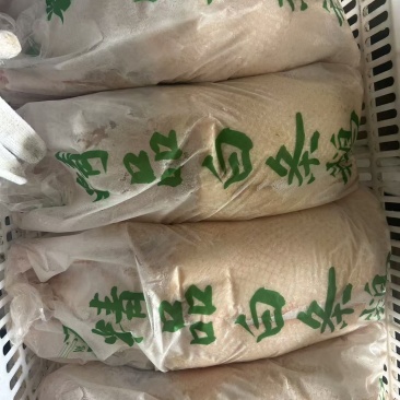 带皮郎德鹅单只5-9斤20吨带头去爪翅