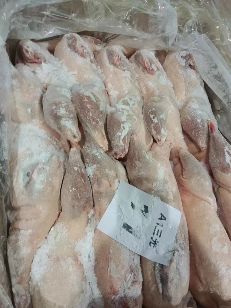 一级三光鹅