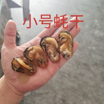 台山白蚝蚝干
