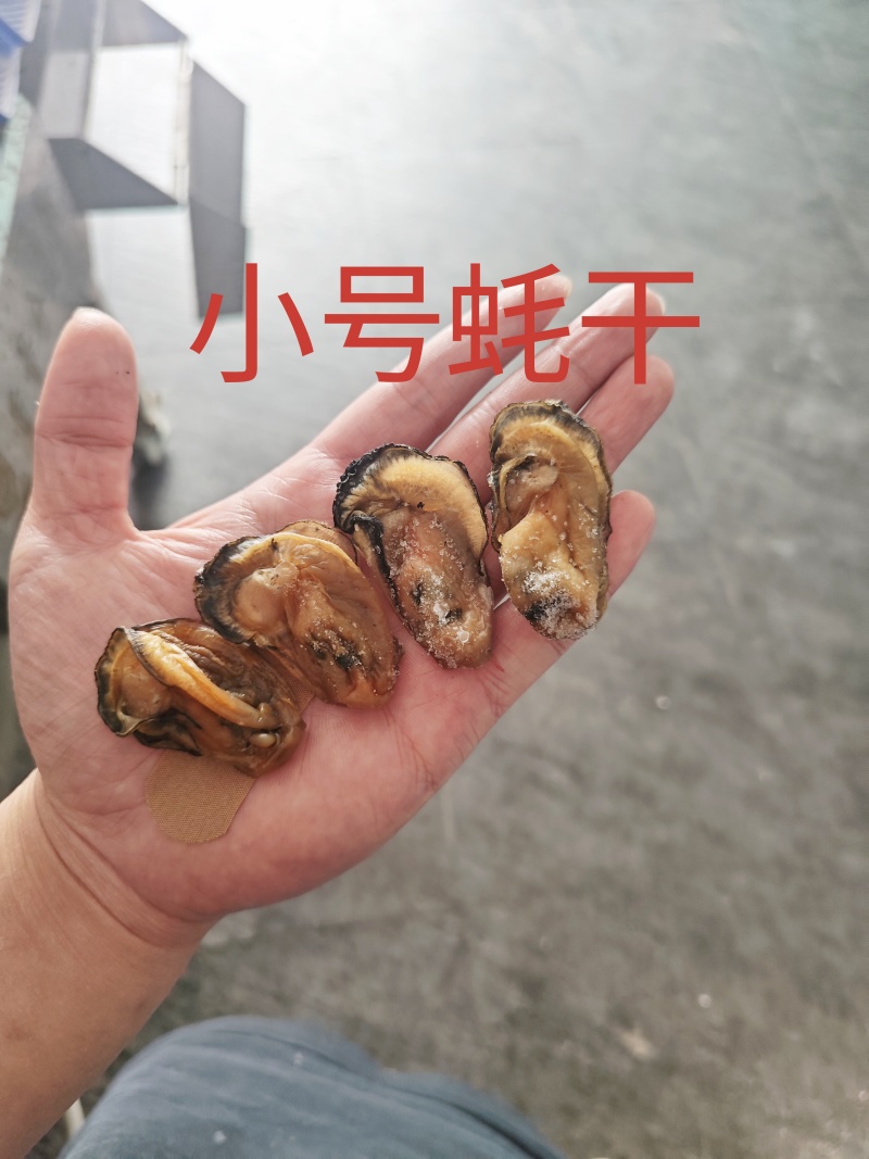 台山白蚝蚝干