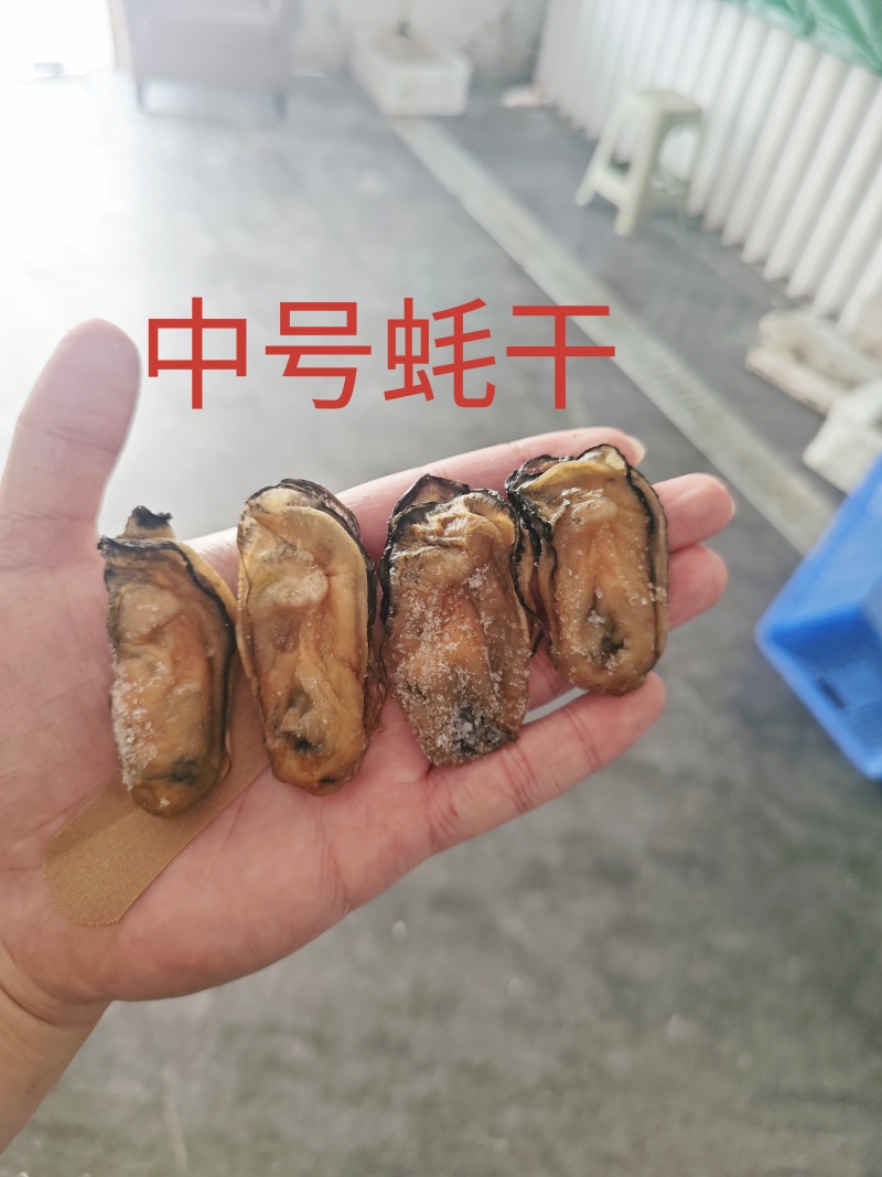 台山白蚝蚝干