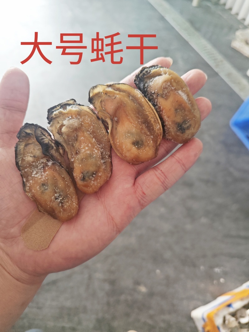台山白蚝蚝干