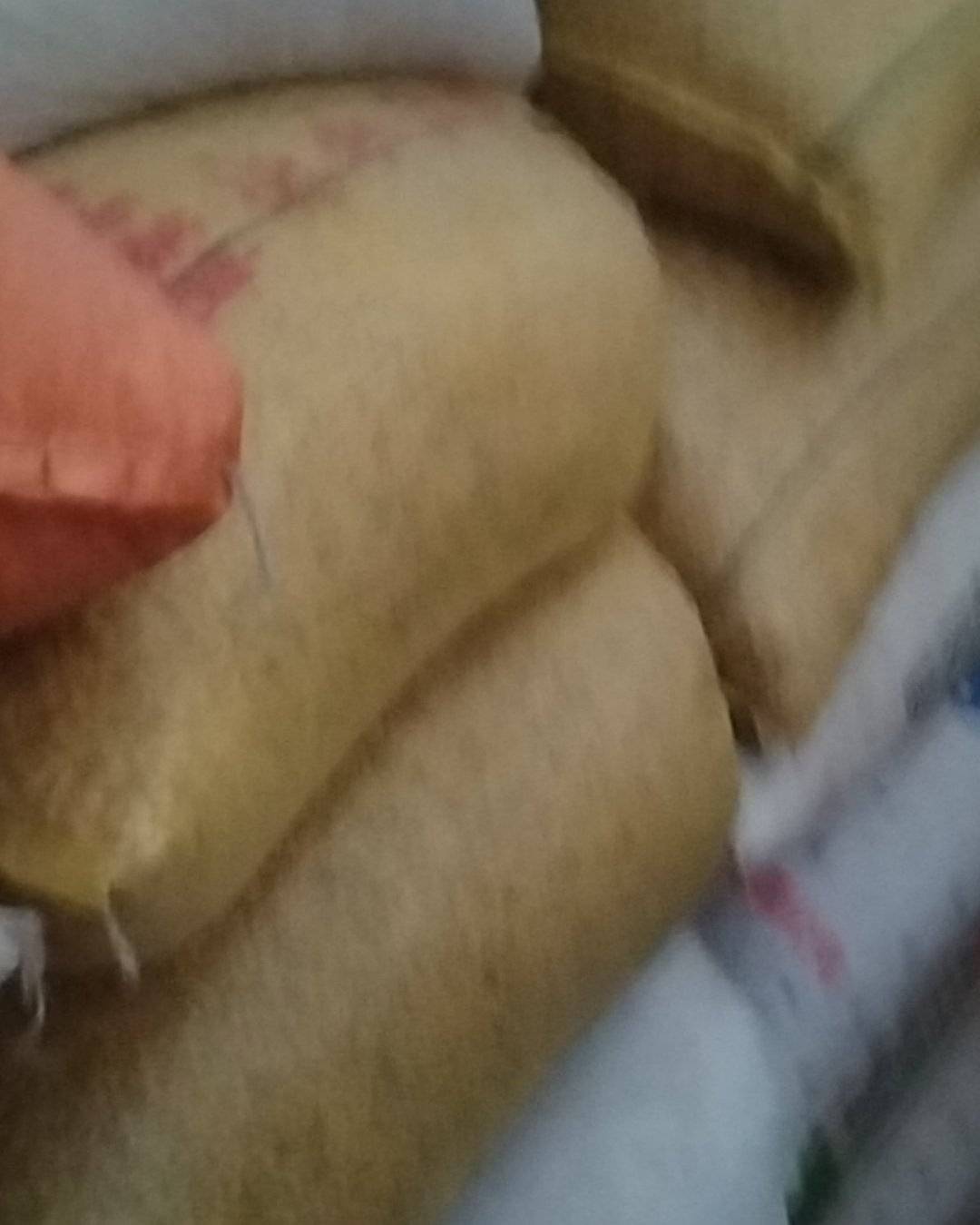 德阳市中江县黑油菜籽