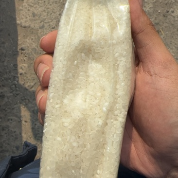 大米