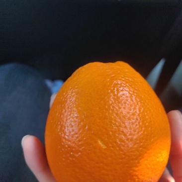 脐橙来量大的