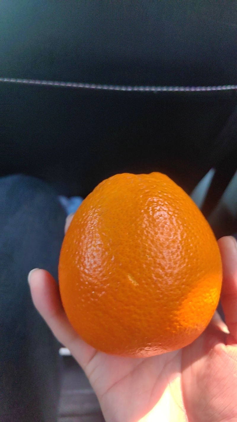 脐橙来量大的