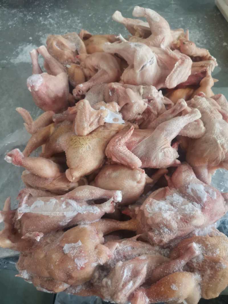 817残鸡，大厂货，证件齐全