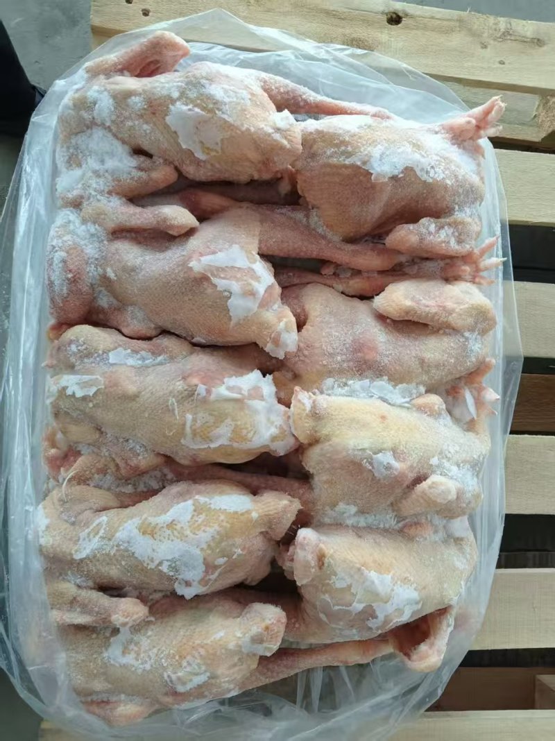579小公鸡，一级，9-10只装，12.5公斤一件，大厂，