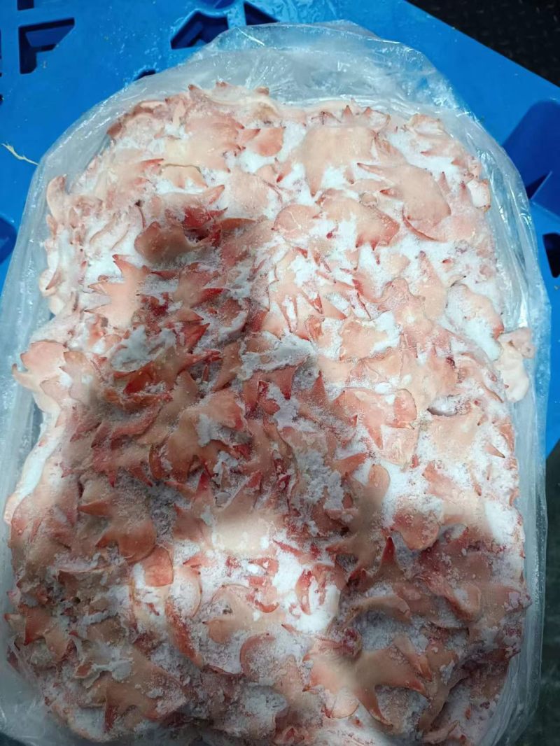 母鸡冠子，规格15公斤一件，