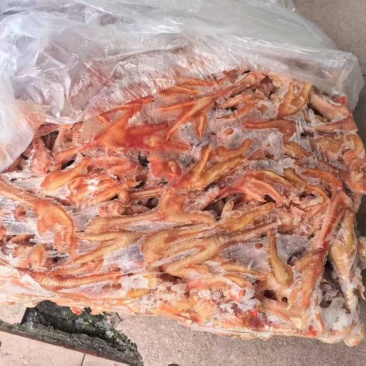 老母鸡爪，单个25克左右，纯干，水分控制3个水左右，处理干净