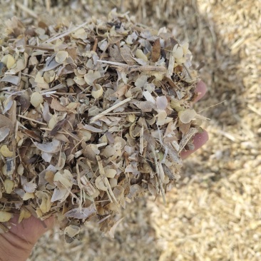 豆荚皮（喂牛羊草料）