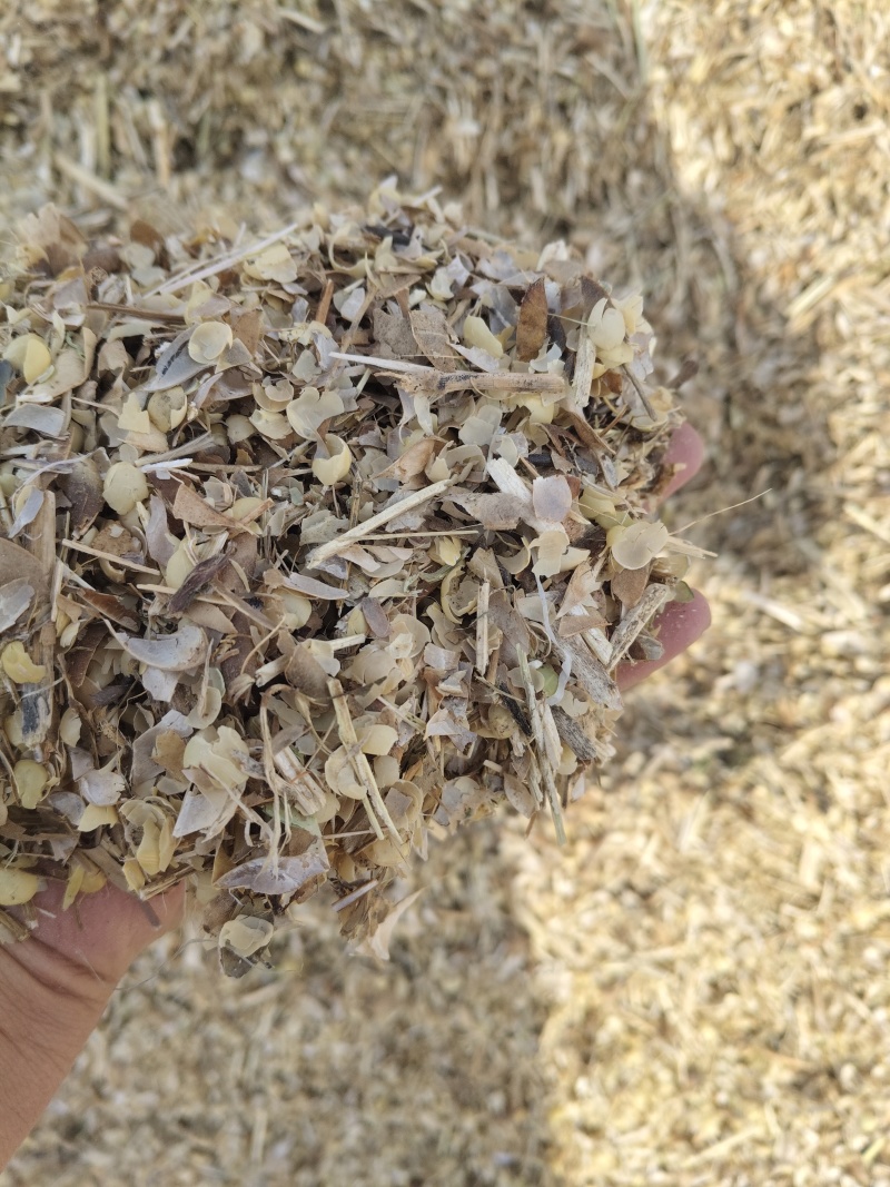 豆荚皮（喂牛羊草料）