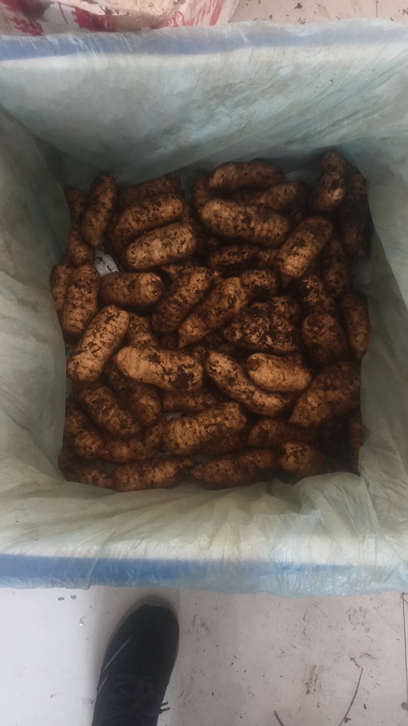 可以选规格，欢迎来电