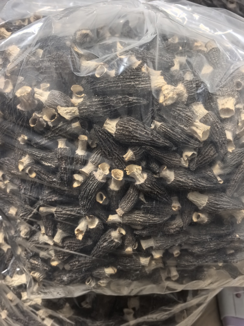 2026羊肚菌头茬干货