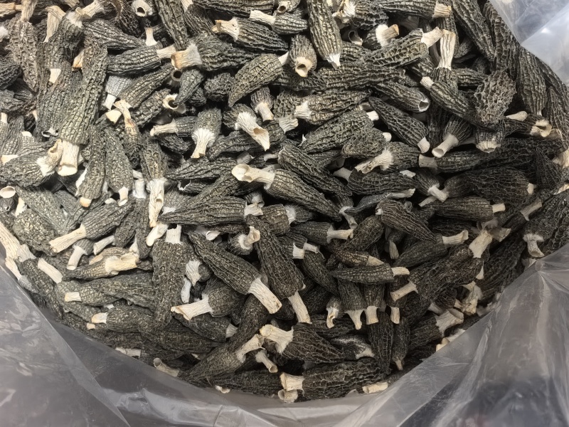 2026羊肚菌头茬干货