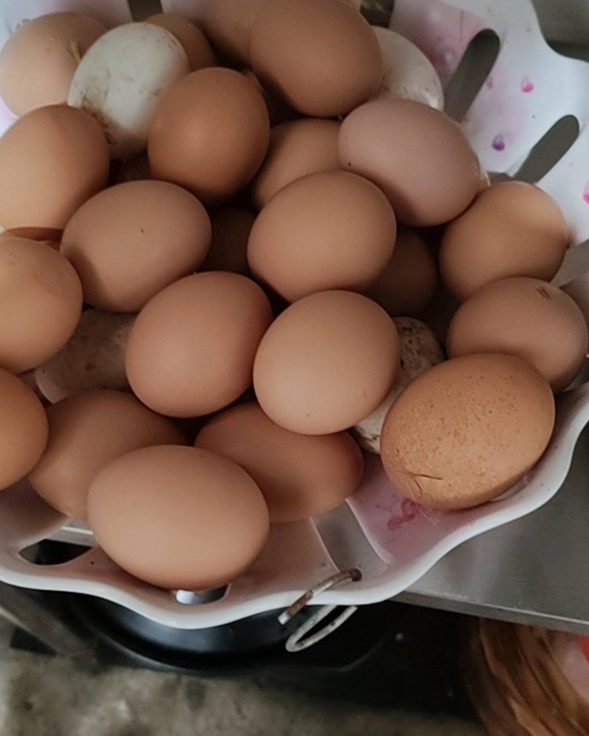 自己家的土鸡蛋