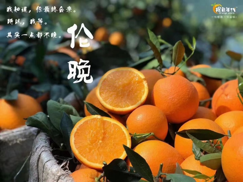 橙子