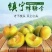 贵州六马蜂糖李