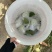 陆丰华侨水果之乡杨桃。芭乐