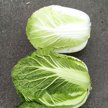 大白菜