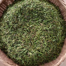 大山千年野茶