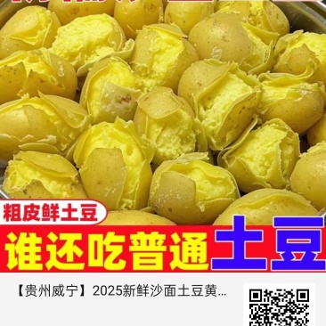 迷你小土豆