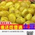 迷你小土豆