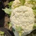 精品有机花菜