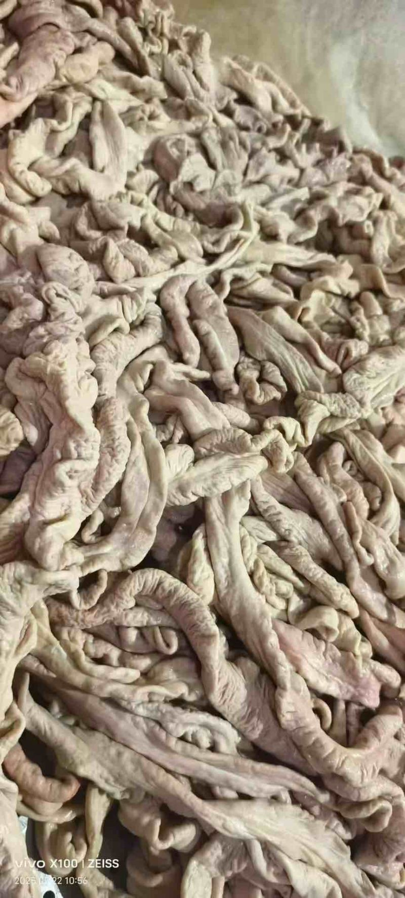一级精大肠6～7分熟