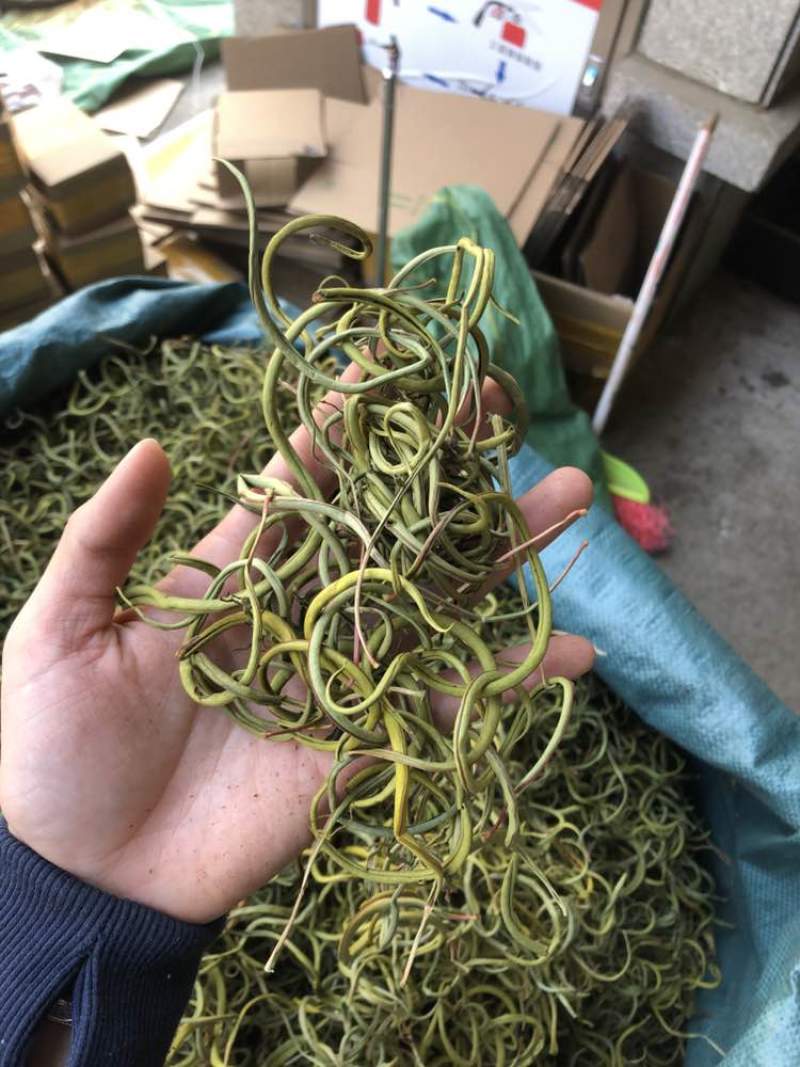 化石草肾精茶一手货源。大货批发支持批发零售需要联系