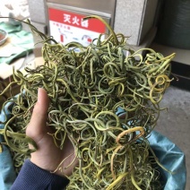 化石草肾精茶一手货源。大货批发支持批发零售需要联系