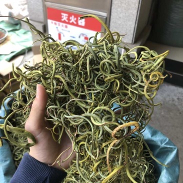 化石草肾精茶一手货源。大货批发支持批发零售需要联系