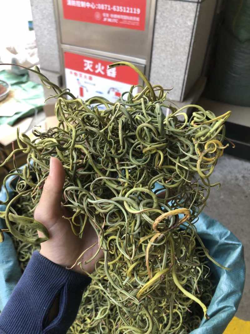化石草肾精茶一手货源。大货批发支持批发零售需要联系