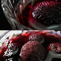 浙江兰溪马涧原酿杨梅酒工厂直发一条龙服务一手货源稳定供应