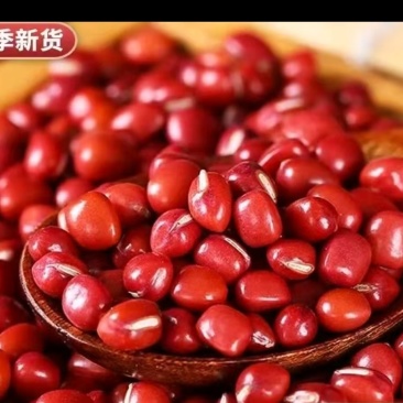 天然红豆