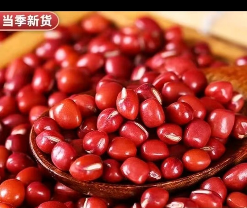 天然红豆