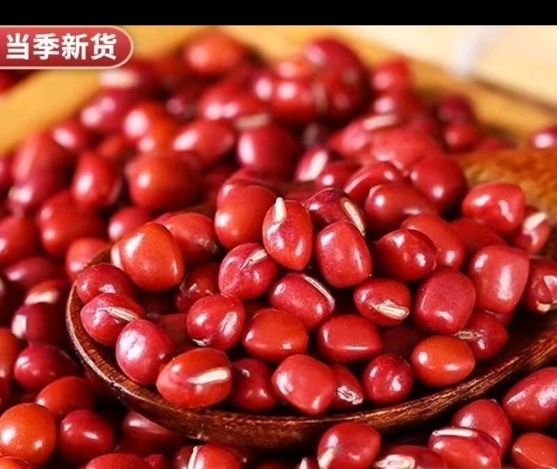 天然红豆