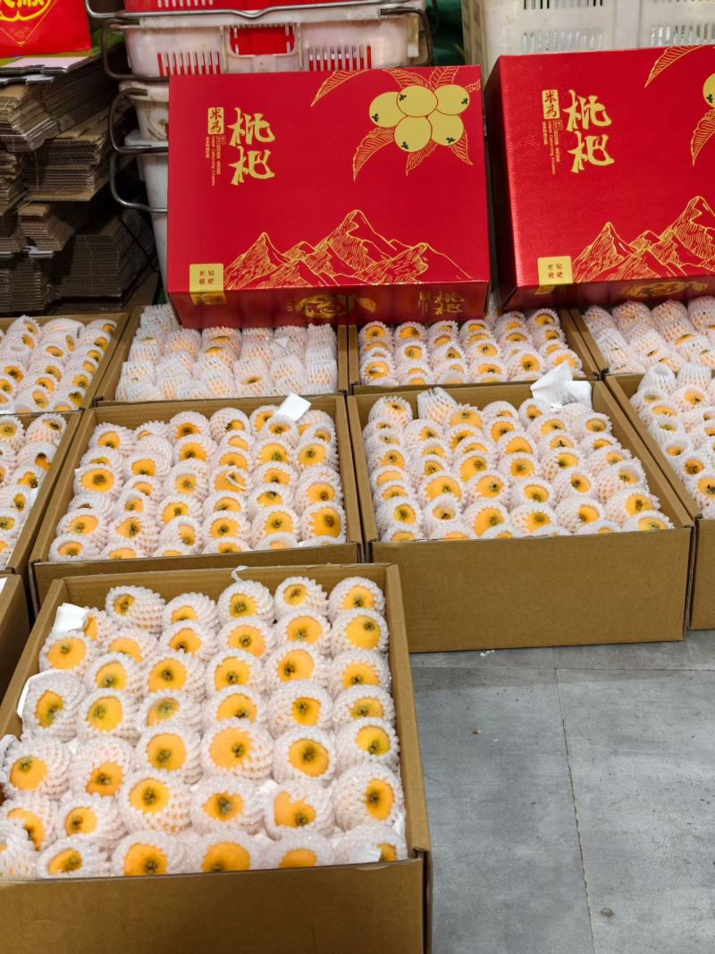 米易枇杷