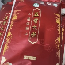 五常大米