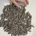 三瑞九号葵花。170千粒。机选货。微微冻仁。百分之一