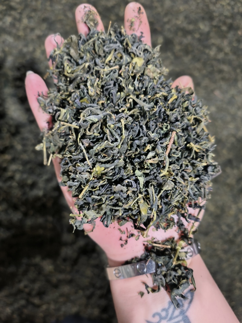 绿茶，翠芽，红茶，黄金芽，低端炒青，大量有货！