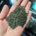 绿茶，翠芽，红茶，黄金芽，低端炒青，大量有货！
